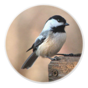 Kip in een Golden Light Ceramic Knob Keramische Knop