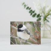 Kip in een storm briefkaart (Staand voorkant)