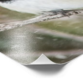 Kip in een storm foto afdruk (Hoek)