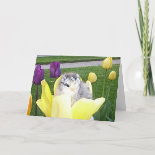 kip in een tulp feestdagen kaart (Voorkant)