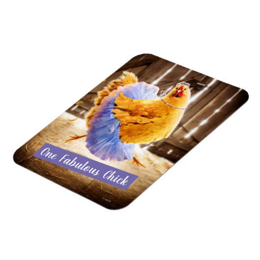 Kip in een Tutu Magneet (Linkerzijde)