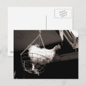 Kip in het mandje briefkaart (Voorkant / Achterkant)