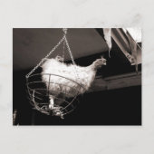 Kip in het mandje briefkaart (Voorkant)