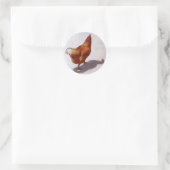 KIP IN OLIEPASTEL RONDE STICKER (Tas)