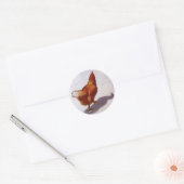 KIP IN OLIEPASTEL RONDE STICKER (Envelop)