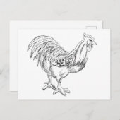 Kip in pen en inkt briefkaart (Voorkant / Achterkant)