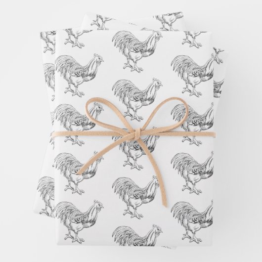 Kip in pen en inkt inpakpapier vel (In situ)