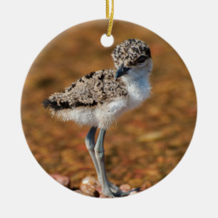 Kip Keramisch Ornament