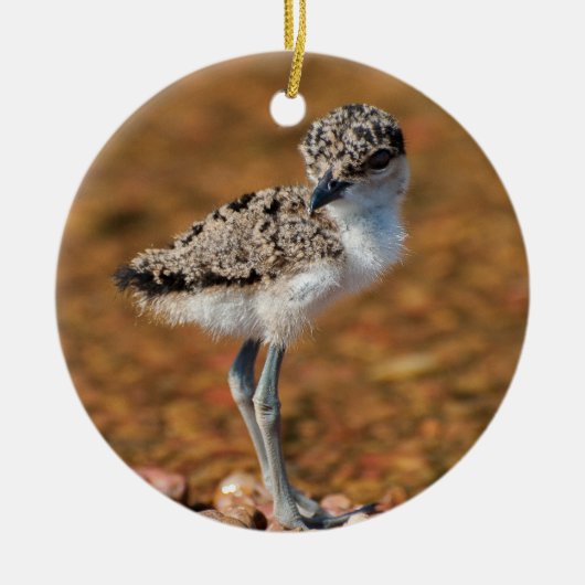 Kip Keramisch Ornament (Voorkant)