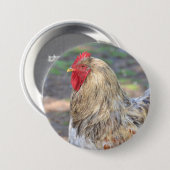 Kip Knop Ronde Button 7,6 Cm (Voorkant /achterkant)