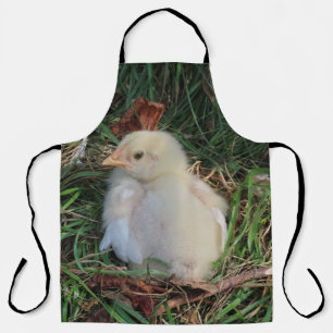 kip, kuiken, boerderij, dier, vogel, pluimvee, hen schort