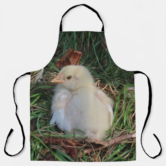 kip, kuiken, boerderij, dier, vogel, pluimvee, hen schort (Voorkant)