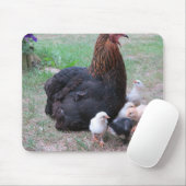 kip, kuikens, kippen, kuiken, dier, vogel, muismat (Met muis)