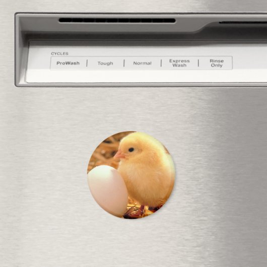 kip magneet (Insitu (Vaatwasser))