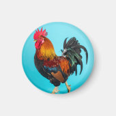 kip magneet (Voorkant)