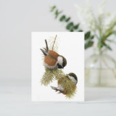 Kip met kastanjesteun van Fuertes Briefkaart (Staand voorkant)