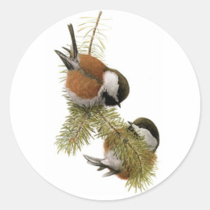 Kip met kastanjesteun van Fuertes Ronde Sticker