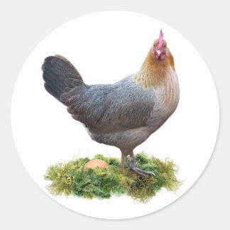 Kip met Lichen Nest Sticker