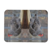 Kip met reflecties magneet (Horizontaal)