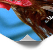 Kip? - niet-gedateerd poster (Hoek)