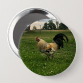 Kip op de boerderij foto ronde button 4,0 cm (Voorkant /achterkant)