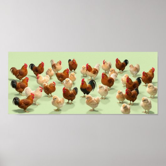 Kip op lichtgroene achtergrond poster (Voorkant)