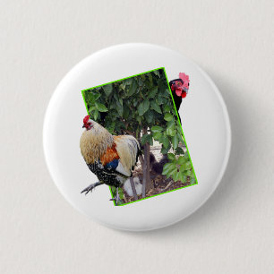 Kip Peekaboo Ontwerp, Ronde Button 5,7 Cm