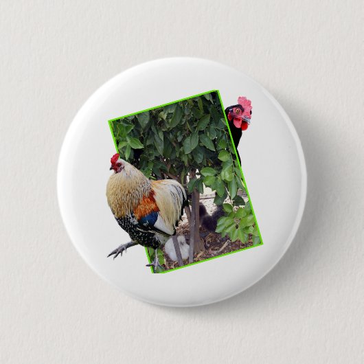 Kip Peekaboo Ontwerp, Ronde Button 5,7 Cm (Voorkant)