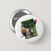 Kip Peekaboo Ontwerp, Ronde Button 5,7 Cm (Voorkant /achterkant)