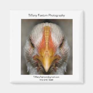 kip promo stuk magneet