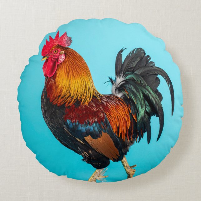 kip rond kussen (Voorkant)