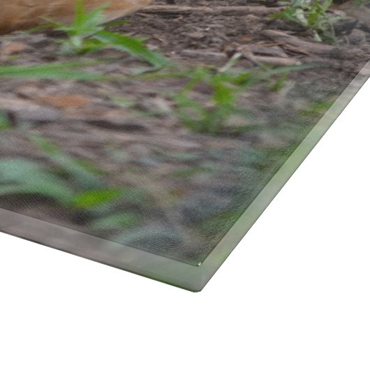 Kip-snijbord Snijplank (Hoek)