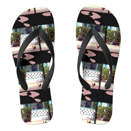 Kip steekt weg over...WAAROM? Teenslippers (Voetbed)