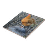 Kip Tegels Tegeltje (Zijkant)
