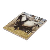 Kip! Tegeltje (Zijkant)