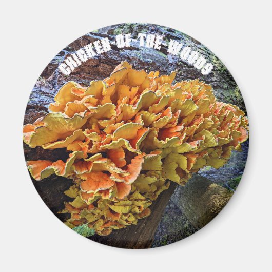 Kip-van-de-Bossen paddenstoel Botanisch Magneet (Voorkant)