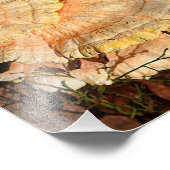 Kip van de Bossen paddenstoel Foto afdrukken (Hoek)