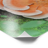 Kip van de Bossen paddenstoel Foto afdrukken (Hoek)