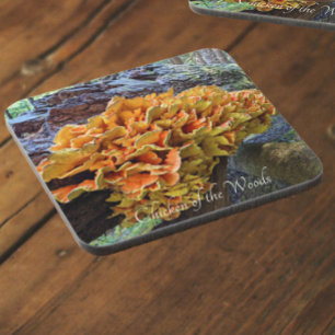 Kip van de Bossen Paddenstoel Foto Bier Onderzetter