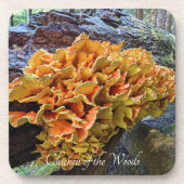Kip van de Bossen Paddenstoel Foto Bier Onderzetter (Voorkant)