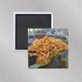 Kip van de Bossen Paddenstoel Foto Magneet