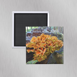 Kip van de Bossen Paddenstoel Foto Magneet