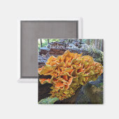 Kip van de Bossen Paddenstoel Foto Magneet (Voorkant / Achterkant)