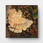 Kip van de Bossen Plaque Fotoplaat (Voorkant)