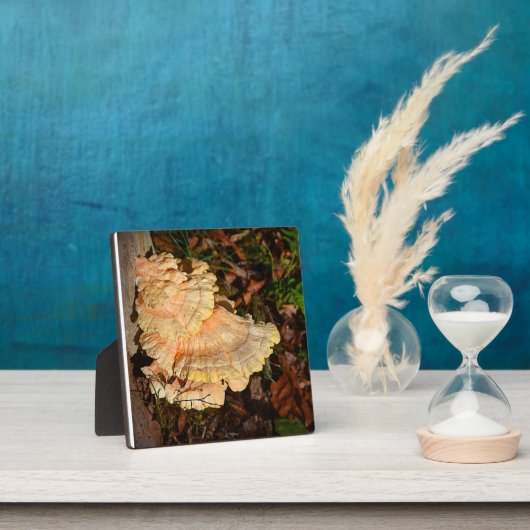 Kip van de Bossen Plaque Fotoplaat (Insitu)