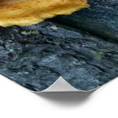 Kip van de bossen poster (Hoek)