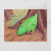 Kip van Plant briefkaart (Voorkant)