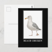 Kip voor de kuikens van de zeemeeuw - Humor van de Briefkaart (Voorkant / Achterkant)