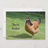 Kip Zwart en Goud Vorwerk Foto Verjaardag Kaart (Voorkant)