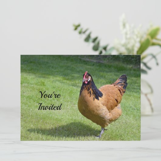 Kip Zwart en Goud Vorwerk Foto Verjaardag Kaart (Staand voorkant)